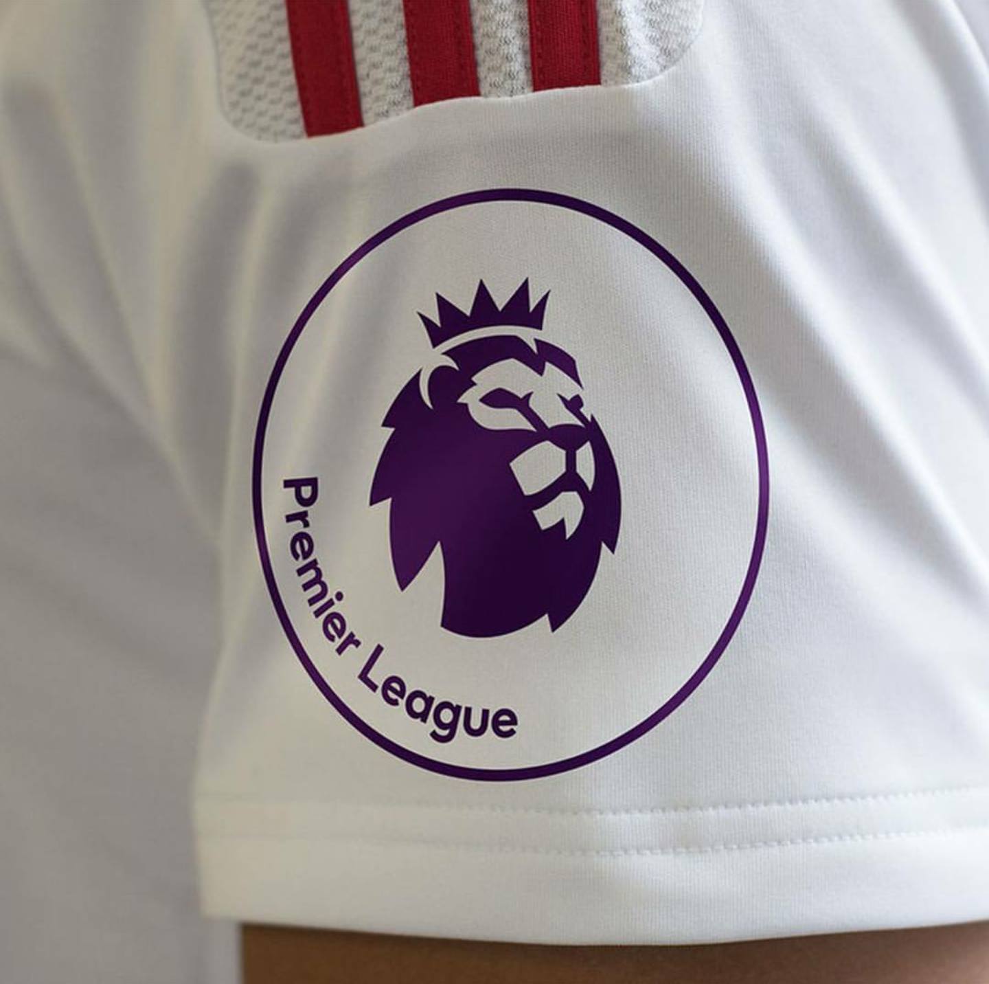 Logo premier league angleterre